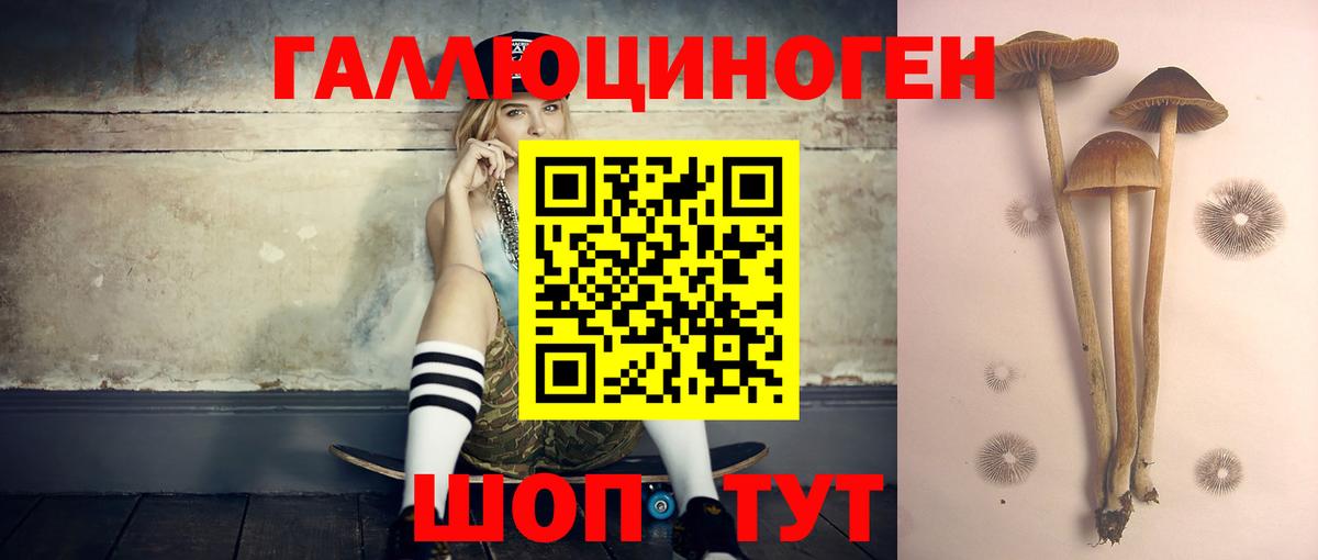 Михайловск  Галлюциногенные грибы Magic Shrooms  Вход с VPN 