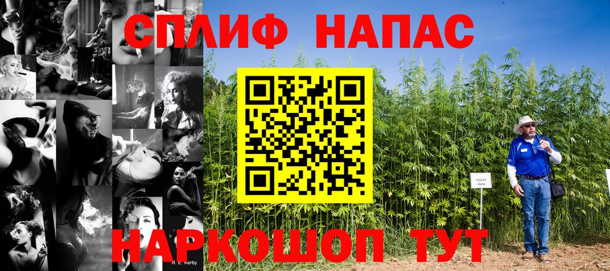Михайловск  Каннабис Ganja  Бошки марихуана план  Вход с VPN 